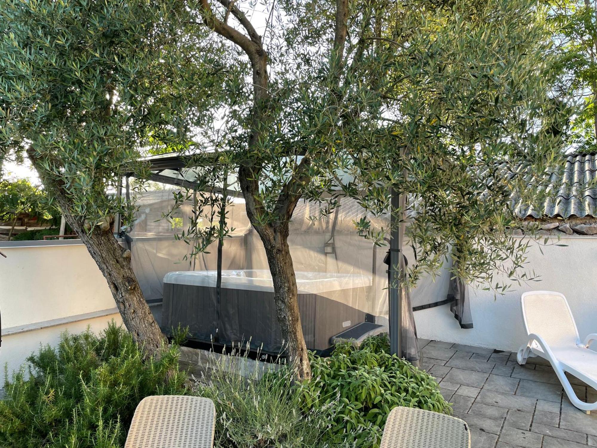 Apartments Villa Diamant With Pool & Whirlpool Чижичи Экстерьер фото
